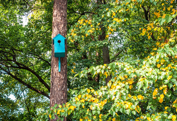 Blue wooden birdhouse on a tree trunk in the park 