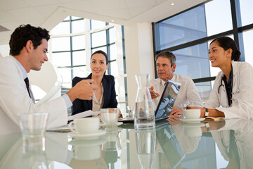 Doctors and businesswoman talking in meeting