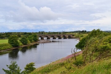 Fototapeta na wymiar bridge over the river in summer