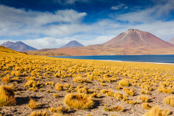 Amazing Lake Miscanti in the highlands of Chile near San Pedro de Atacama