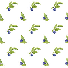 Watercolor Pattern with Blue Berry and green leaves. Hand painted Background on white isolated Background. Illustration of autumn Blueberry for wrapping paper or textile design
