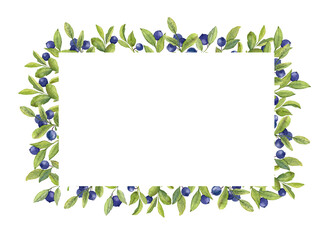 Watercolor hand painted Frame with forest Blue Berry and green Leaves. Illustration on white isolated Background. Design for greeting cards or invitations
