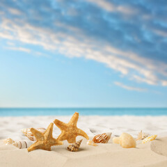 Fototapeta na wymiar Beautiful sea stars and seashells on sandy beach