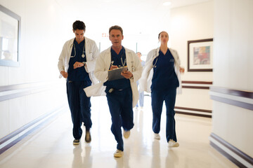 Fototapeta premium Doctors and businesswoman talking in meeting