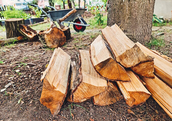 Der alte Baum im Garten wird zu Brennholz verarbeitet