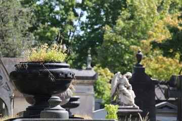 Cimetière Père Lachaise Paris