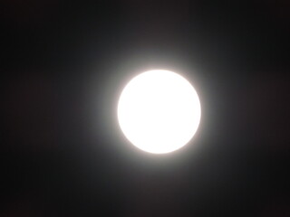 White Moom