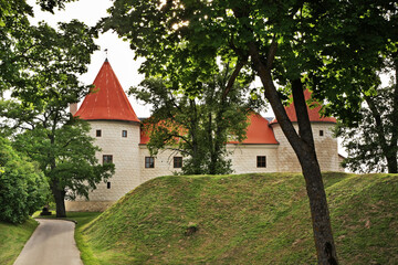 Fototapeta na wymiar Bauska Castle. Bauska. Latvia