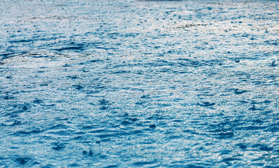 Raindrops in the pond