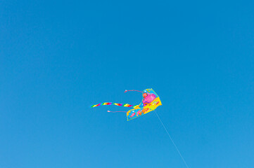 Multicolored kite in blue sly