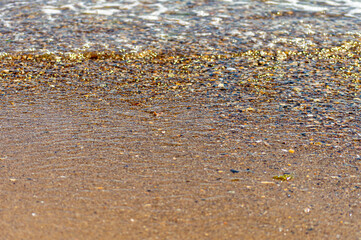 Seashore of multicolored shells. Natural background.