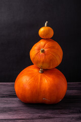 stack of pumpkins on a dark background