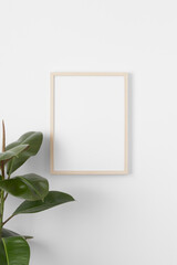 Wooden frame mockup on the wall with a ficus plant.