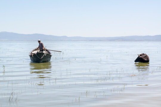wild life in manyas lake