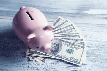 piggy bank on dollar bills