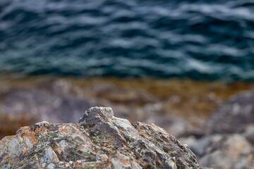 Lichen Crust on Rocks close-up

