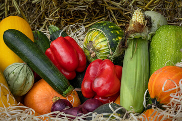 Colorful collection of fruits and vegetables (corn cobs, red peppers, squash, pumpkin, zucchini, red onion) on a hay. Autumn vibes. 
