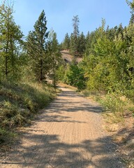 Fototapeta premium Trail Photos