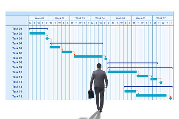 Businessman in project management concept