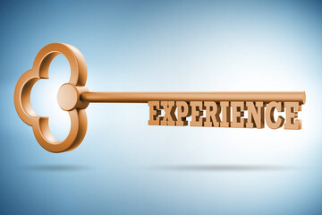 Experience and competence concept with key - 3d rendering