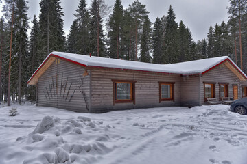 log cabin in a pine forest in winter