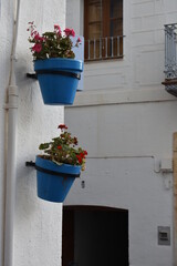 Macetas con flores en la pared