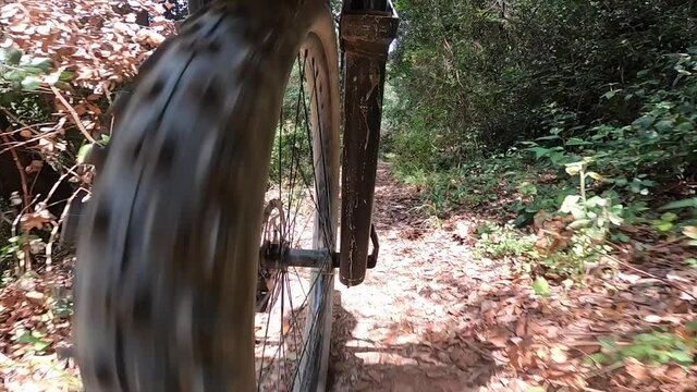 Riding a mountain bike on a rocky forest path in the wood front wheel point of view