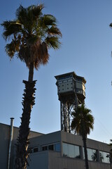 Palmeras al atardecer