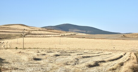 Freshly harvested cereal fields. Soria Province, Spain
