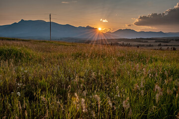 STAR BURST OF LIGHT RAYS FROM SETTING SUN OVER MOUNTAINS WITH WAVING TALL GRASSES IN FOREGROUND