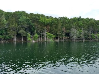 Fototapeta na wymiar Trees on the lake 