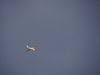 Avioneta solitaria