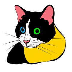 The head of a cat. A pet with soft paws. Illustration of a predatory animal