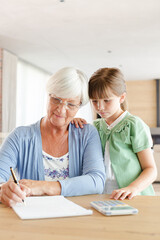 Older woman and granddaughter using calculator