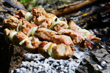 Juicy meat with onions and spices on skewers is fried on a fire in nature. Barbecue. Picnic. Grill.	