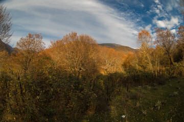 Amazing view with colorful autumn forest with asphalt mountain road at sunset.