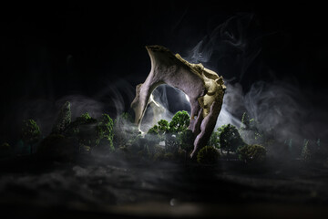 Animal bone in dark Halloween night with fog and light on background / Selective focus and space for text. Abstract horror concept