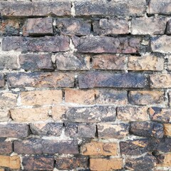 wall