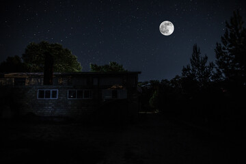 Naklejka premium Old house with a Ghost in the forest at night or Abandoned Haunted Horror House in fog. Old mystic building in dead tree forest. Trees at night with moon. Surreal lights.