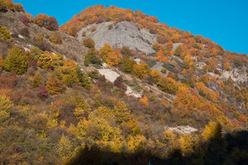 Amazing view with colorful autumn forest with asphalt mountain road at sunset. Beautiful landscape with empty road, trees and sunlight in the evening in autumn. Travel background. Nature