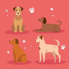 dogs cartoons mascots