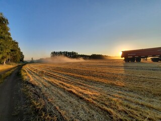 Fototapeta premium landscape with bales