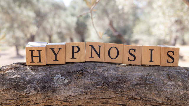 The Word Hypnosis was created from wooden cubes. Photographed on the tree..
