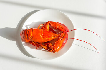 Steamed fresh red lobster on a white plate on a white table. One of the best seafood. View from above. Copy space