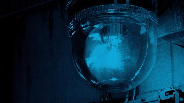 Industrial Blue Light Flashing Loop
