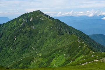 ８月上旬の中央アルプス木曽山脈に位置する三ノ沢岳