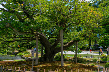 石川県金沢市にある観光名所を旅行している風景 Scenery of a tourist attraction in Kanazawa, Ishikawa Prefecture, Japan. 