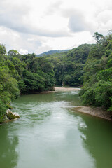 Fototapeta na wymiar green river with trees in the colombian forest