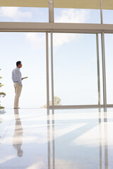 Businessman standing at office window