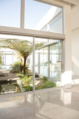 Plants growing in modern courtyard